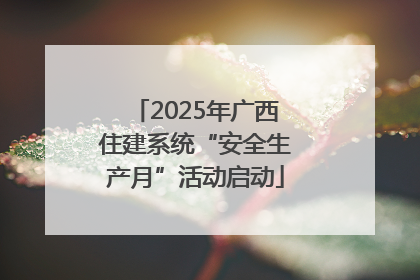 2025年广西住建系统“安全生产月”活动启动